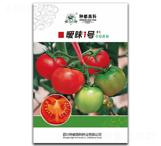曖昧一號(hào)-番茄種子-高科種業(yè)