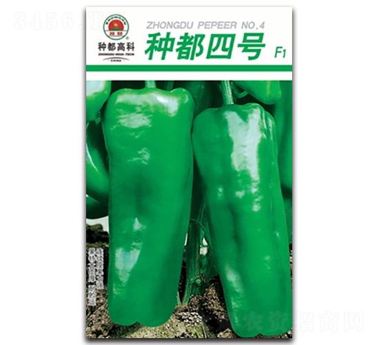 種都四號(hào)-辣椒種子-高科種業(yè)