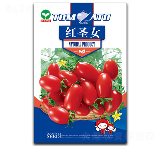 紅圣女-圣女果種子-泉源