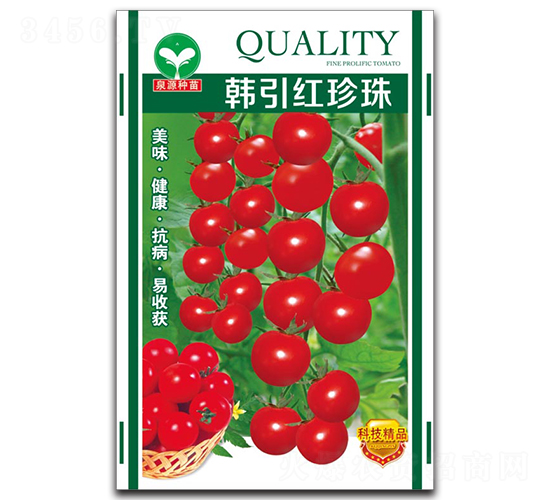韓引紅珍珠-圣女果種子-泉源