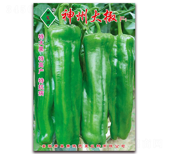 神州大椒-泡椒種子-蕭誠