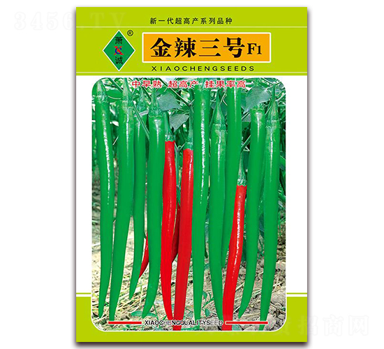 金辣三號(hào)-線椒種子-蕭誠