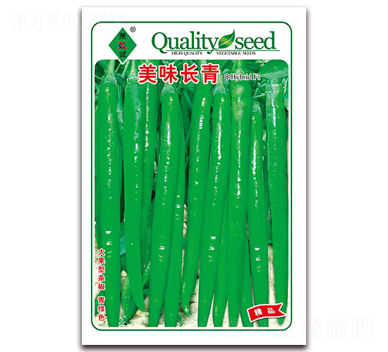 美味長-線椒種子-蕭誠