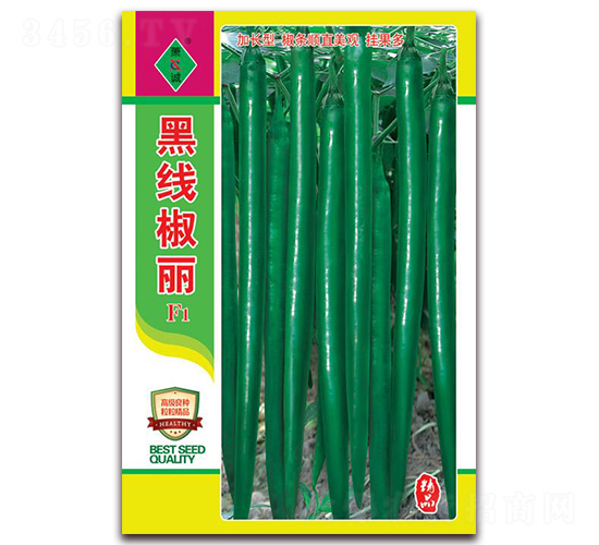 黑線椒麗-線椒種子-蕭誠(chéng)