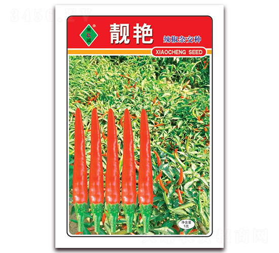 靚艷-朝天椒種子-蕭誠