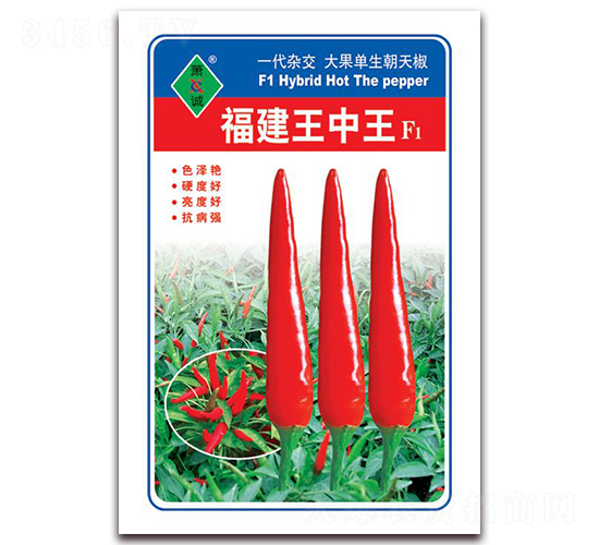 福建王中王-朝天椒種子-蕭誠