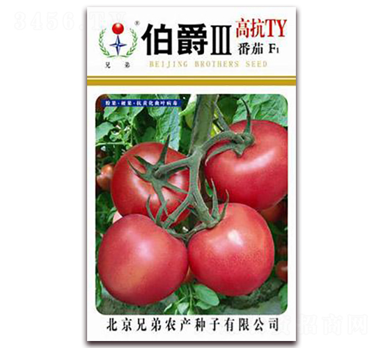 伯爵Ⅲ-番茄種子-兄弟