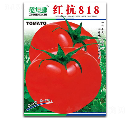 紅抗818-番茄種子-恒馳種業(yè)