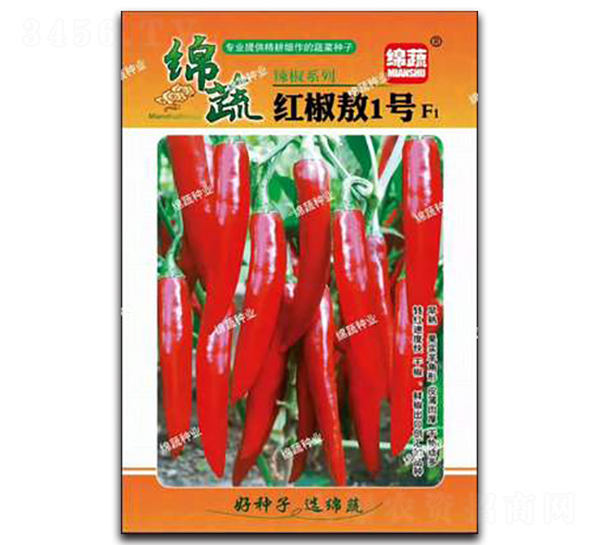紅椒敖1號-尖椒種子-綿蔬種業(yè)