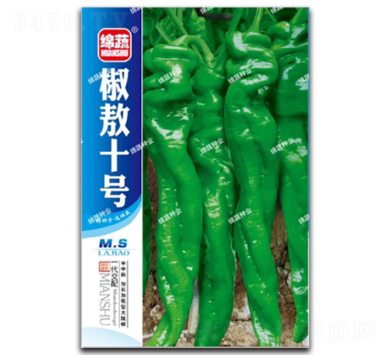 椒敖十號-螺絲椒種子-綿蔬種業(yè)