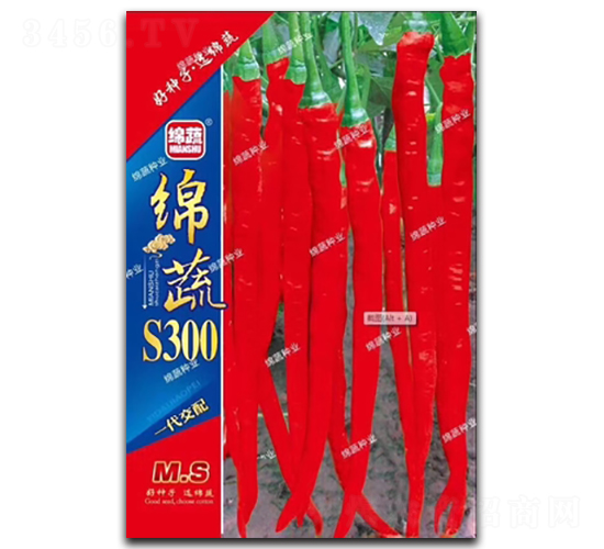 綿蔬S300-線椒種子-綿蔬種業(yè)