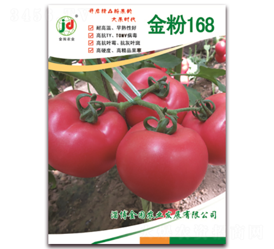 金粉168-番茄種子-金囤農(nóng)業(yè)