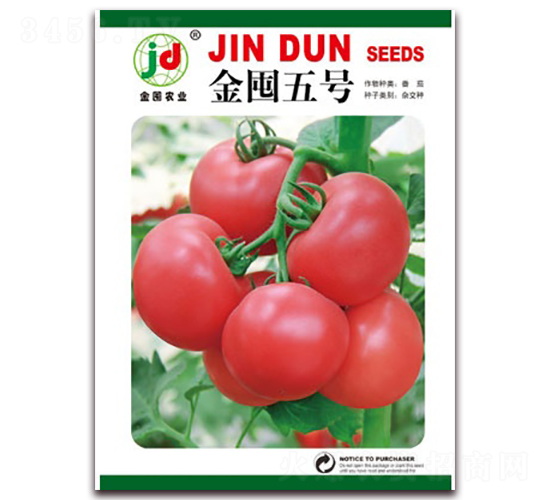 金囤五號-番茄種子-金囤農(nóng)業(yè)