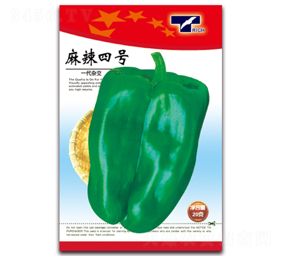 麻辣四號(hào)-辣椒種子-天星種業(yè)