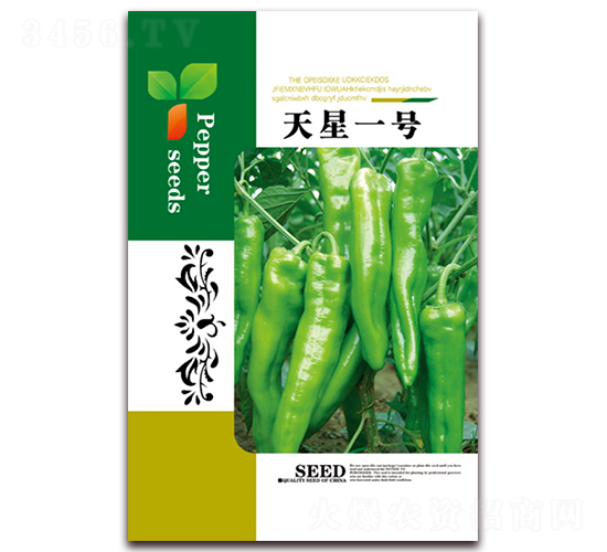 天星一號(hào)-辣椒種子-天星種業(yè)