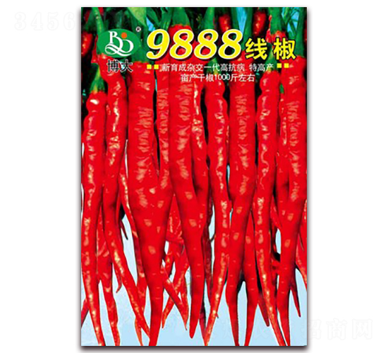 9888線椒-辣椒種子-鑫博大