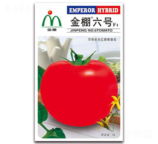 金棚六號(hào)-大紅番茄種子-金鵬