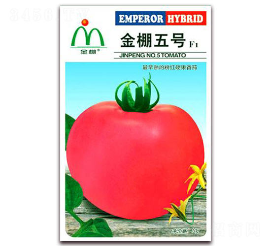 金棚五號-粉紅番茄種子-金鵬