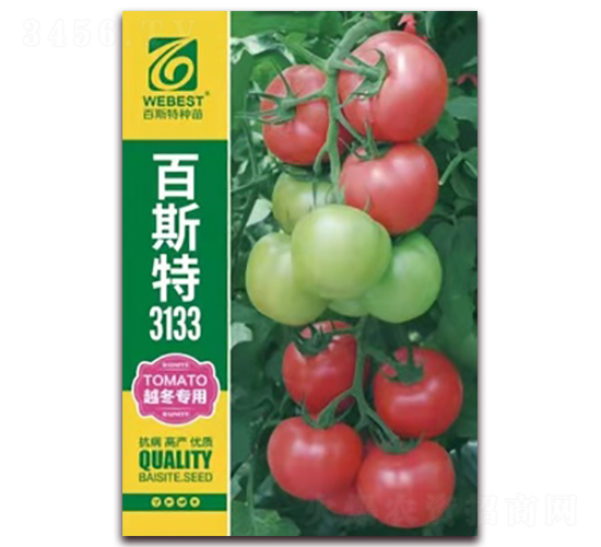 百思特3133-番茄種子-百斯特