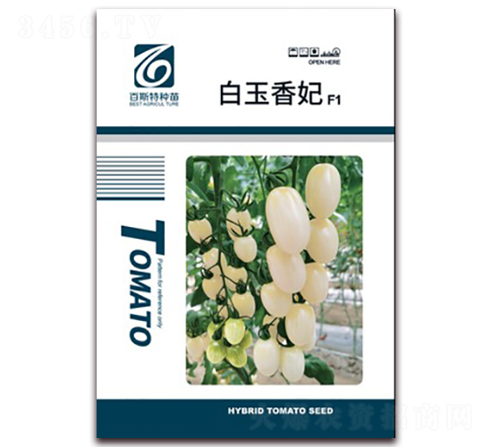 白玉香妃-番茄種子-百斯特