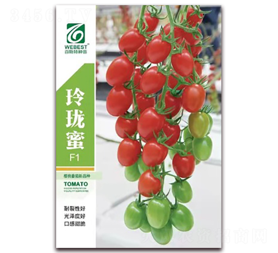 玲瓏蜜-番茄種子-百斯特