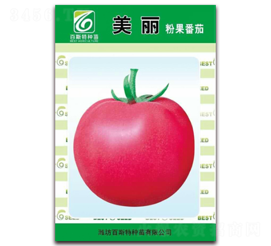 美麗粉果番茄-番茄種子-百斯特