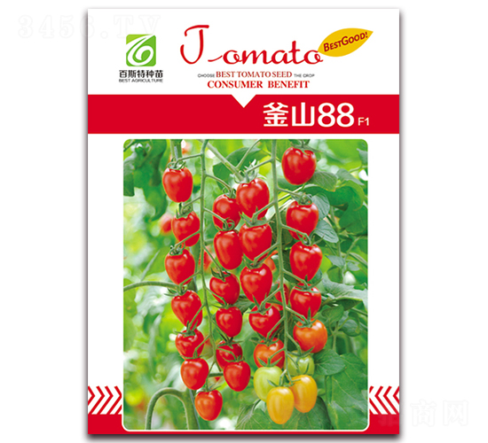 釜山88櫻桃番茄-番茄種子-百斯特