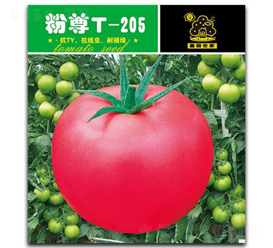 粉尊T-205-番茄種子-鑫園世家