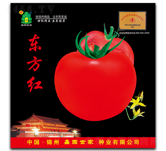 東方紅-番茄種子-鑫園世家