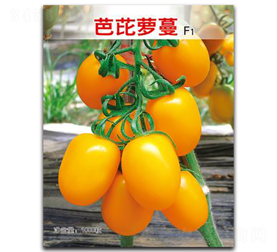 芭芘蘿蔓-番茄種子-鑫園世家