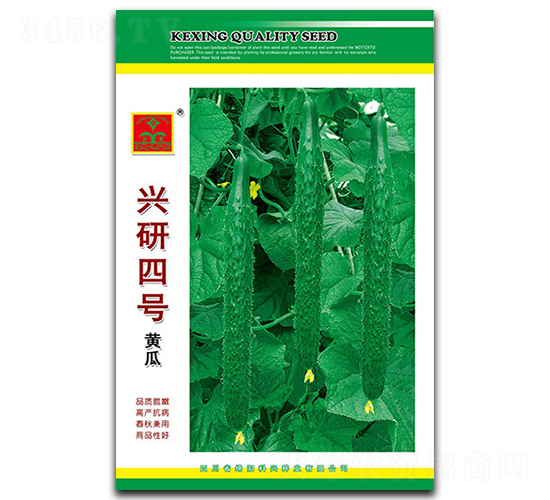 興研四號(hào)-黃瓜種子-科興種業(yè)