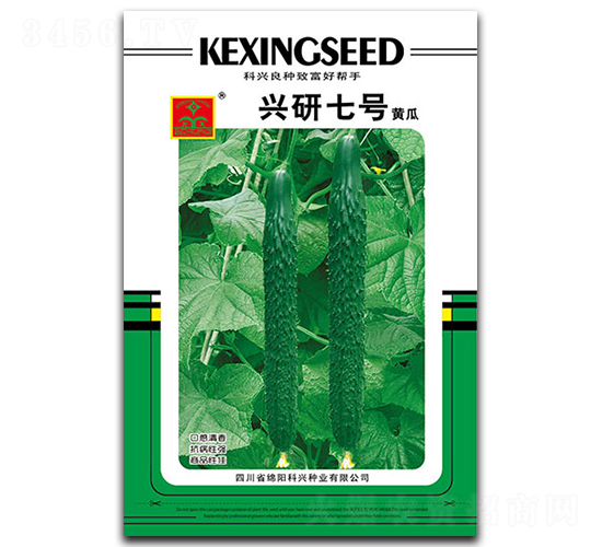興研七號(hào)-黃瓜種子-科興種業(yè)