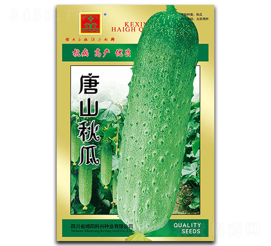 唐山秋瓜-黃瓜種子-科興種業(yè)