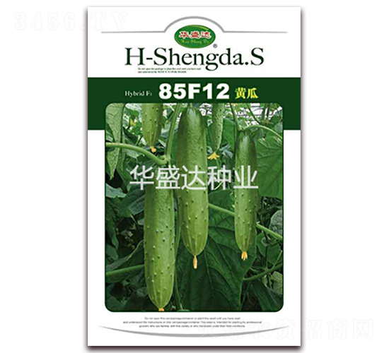 85F12黃瓜-黃瓜種子-華盛達