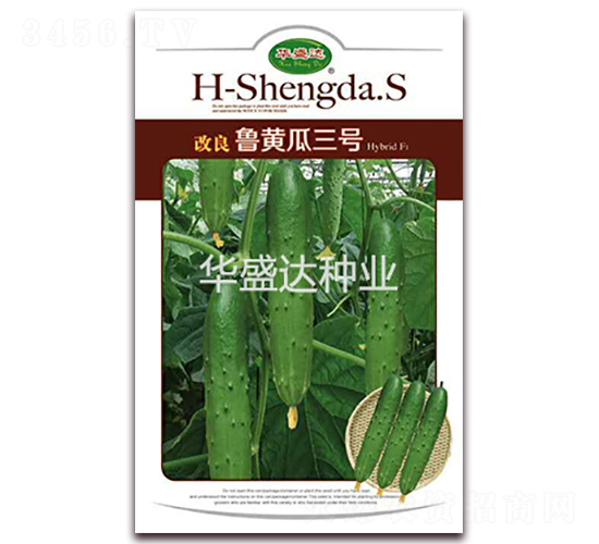改良魯黃瓜三號(hào)-黃瓜種子-華盛達(dá)