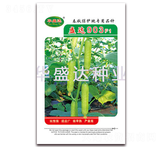 盛達(dá)903F1-黃瓜種子-華盛達(dá)