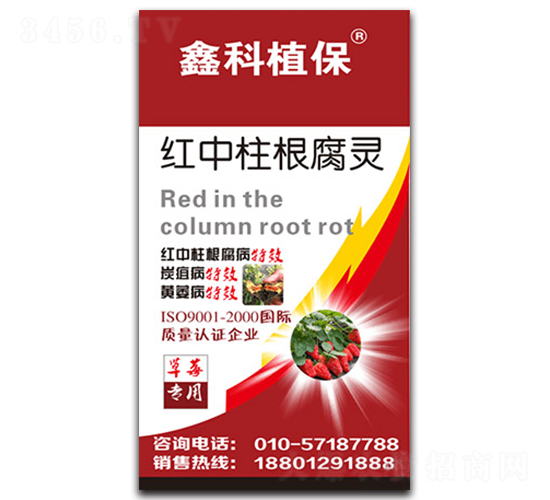 紅中柱根腐靈（草莓專用）-阿爾拉斯