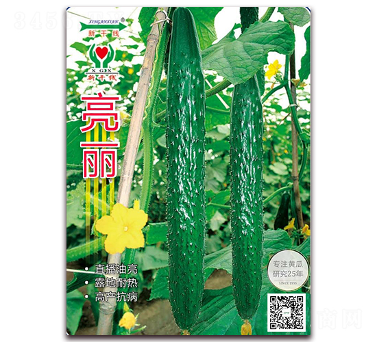 亮麗-密刺黃瓜種子-新干線