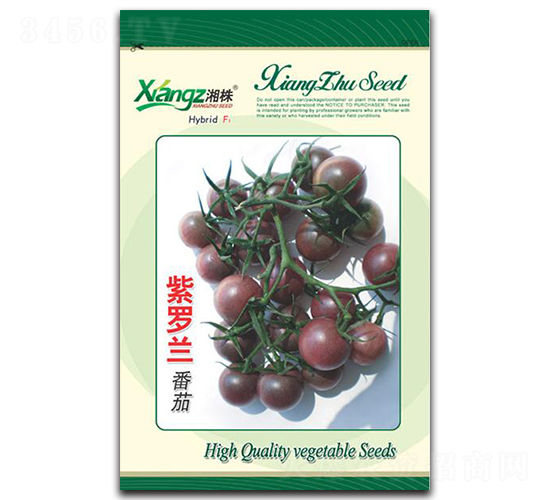 紫羅蘭番茄-番茄種子-湘蔬種業(yè)
