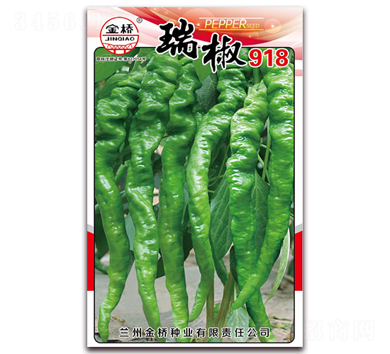 瑞椒918-辣椒種子-金橋種業(yè)