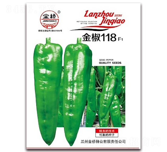 金椒118-辣椒種子-金橋種業(yè)