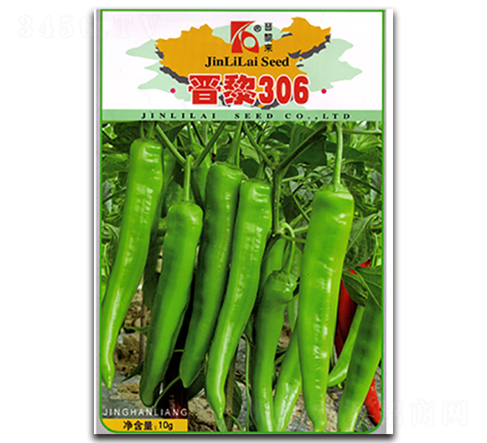 晉黎306-辣椒種子-晉黎來(lái)