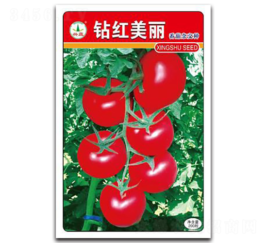 鉆紅美麗-番茄種子-興蔬種業(yè)