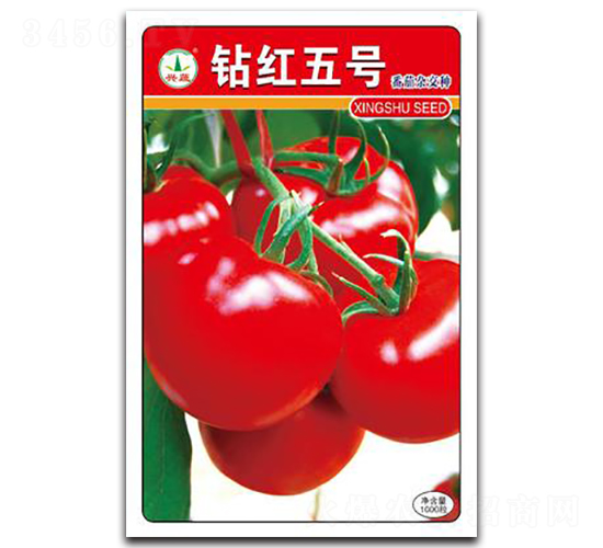 鉆紅5號-番茄種子-興蔬種業(yè)