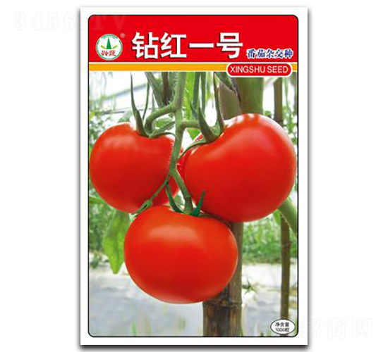 鉆紅一號-番茄種子-興蔬種業(yè)