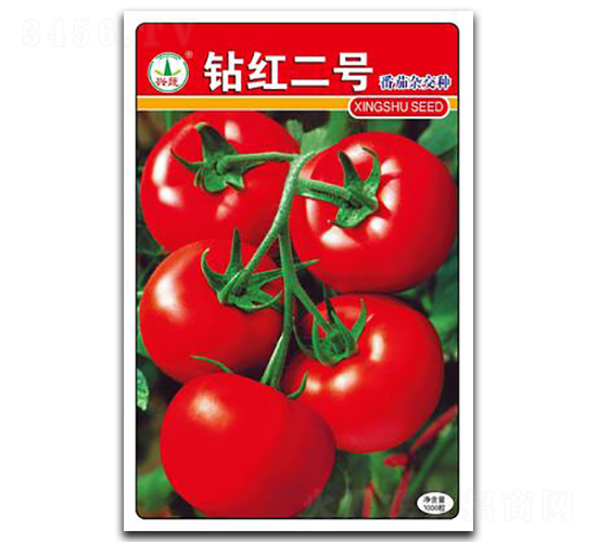 鉆紅二號-番茄種子-興蔬種業(yè)