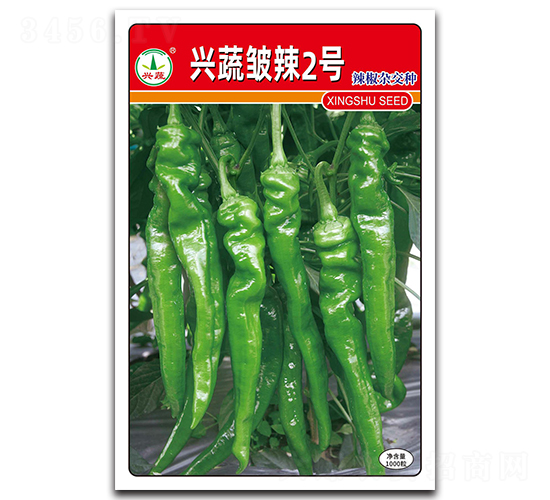 興蔬皺辣2號-辣椒種子-興蔬種業(yè)