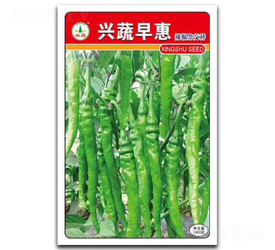 興蔬早惠-辣椒種子-興蔬種業(yè)