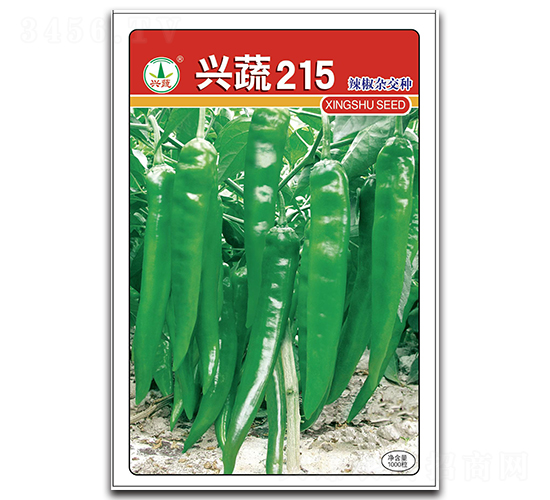 興蔬215-辣椒種子-興蔬種業(yè)