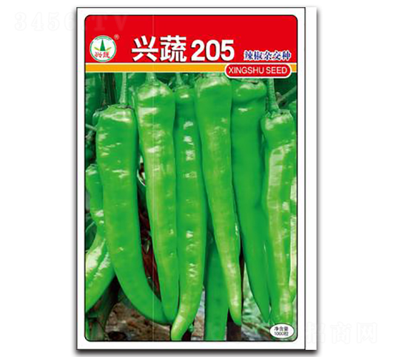 興蔬205-辣椒種子-興蔬種業(yè)